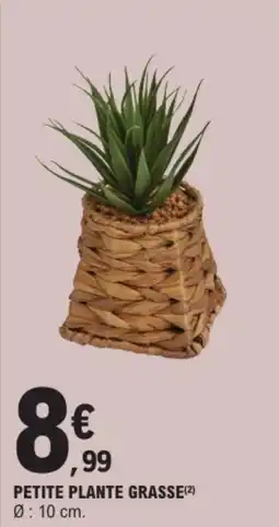 E.Leclerc Petite plante grasse offre
