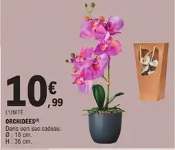 E.Leclerc Orchidées offre