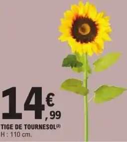 E.Leclerc Tige de tournesol offre