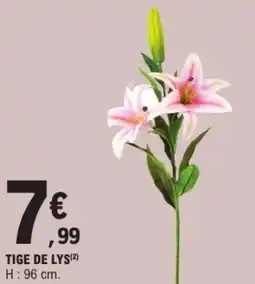 E.Leclerc Tige de lys offre