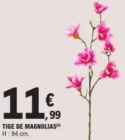 E.Leclerc Tige de magnolias offre
