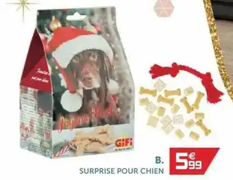 Gifi Surprise Pour Chien offre