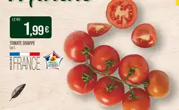 Match Tomate grappe offre