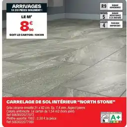 Brico Dépôt Carrelage de sol intérieur "north stone" offre