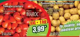 Norma Cat - tomates cerises offre