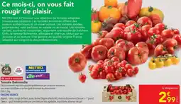 METRO Tomate Belmandia offre