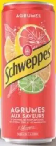 METRO SCHWEPPES Agrumes offre