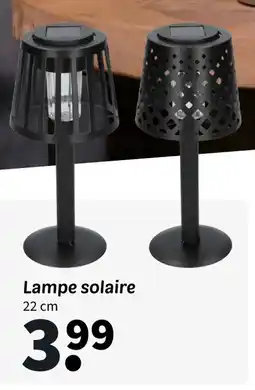 Wibra Lampe solaire 22 cm offre