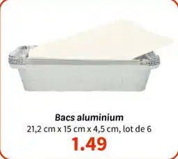 Wibra Bacs aluminium offre