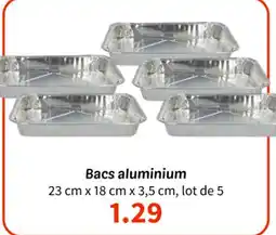 Wibra Bacs aluminium offre