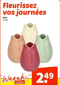 Wibra Vase offre