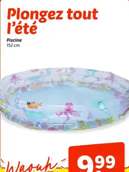 Wibra Piscine offre