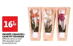 Orchidée 3 branches + cache pot céramique