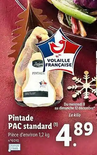 Pintade Pac Standard Deluxe