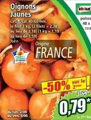 Norma Cat - oignons jaunes offre