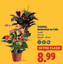 Norma Casa - couvercle en verre offre