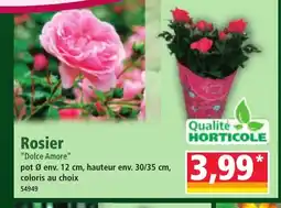 Norma Rosier offre