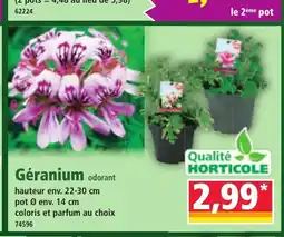 Géranium