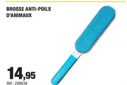 Autobacs Brosse anti-poils d'animaux offre