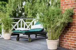 Jardiland ECLOZ Bambou non traçant ECLOZ offre
