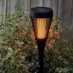 Jardiland ECLOZ Lampe solaire Effet flamme ECLOZ offre
