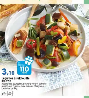 Croque Gel Légumes à ratatouille offre