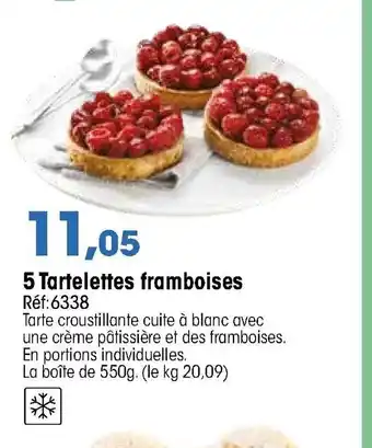 Croque Gel 5Tartelettes framboises offre