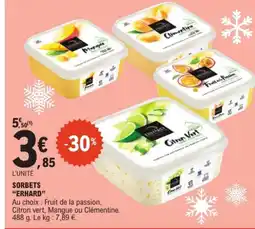 ERHARD Sorbets