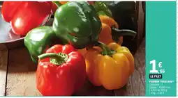 Poivron tricolore