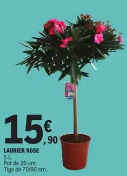 E.Leclerc Drive Laurier rose offre