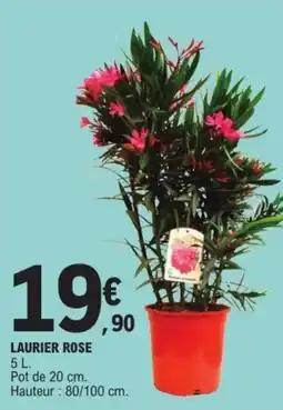E.Leclerc Drive Laurier rose offre