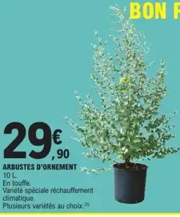 Arbustes d'ornement