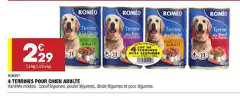 4 Terrines Pour Chien Adulte