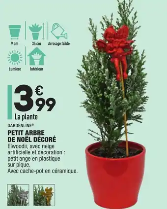 ALDI Petit Arbre offre