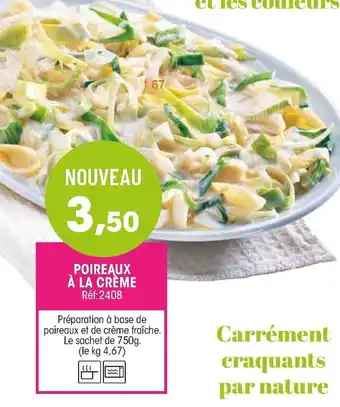 Croque Gel Poireaux à la crème offre