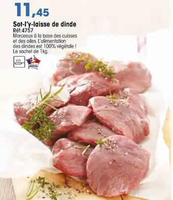 Croque Gel Sot-l'y-laisse de dinde offre