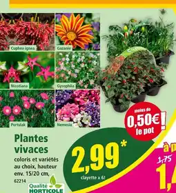 Norma Qualité Horticole Plantes vivaces offre