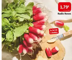 Colruyt Radis roses offre