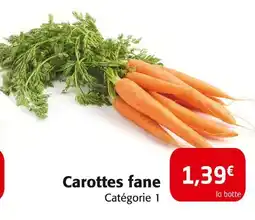 Colruyt Carottes fane offre