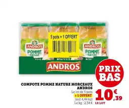 Super U Andros Compote pomme nature morceaux offre