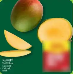 ALDI Mangue offre