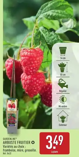ALDI Gardenline arbuste fruitier offre