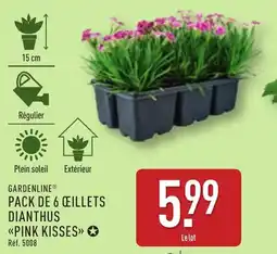ALDI Gardenline pack de 6 œillets dianthus pink kisses offre