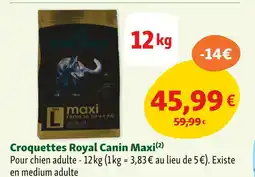 Maxi Zoo Royal Canin Croquettes Maxi offre