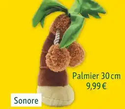 Palmier 30 cm