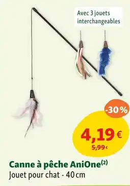 Maxi Zoo AniOne Canne à pêche offre