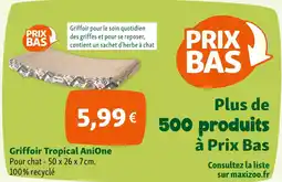 AniOne Griffoir tropical