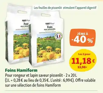 Maxi Zoo Foins Hamiform offre