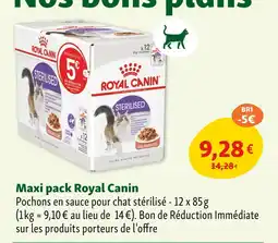 Maxi Zoo Royal Canin Maxi pack offre