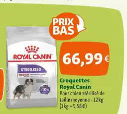 Maxi Zoo Royal Canin Croquettes offre